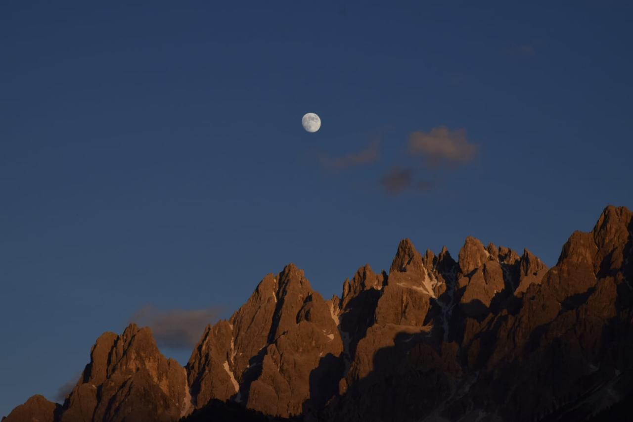 Steinerhof Lägenhet Toblach Exteriör bild